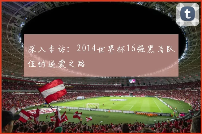深入专访:2014世界杯16强黑马队伍的逆袭之路