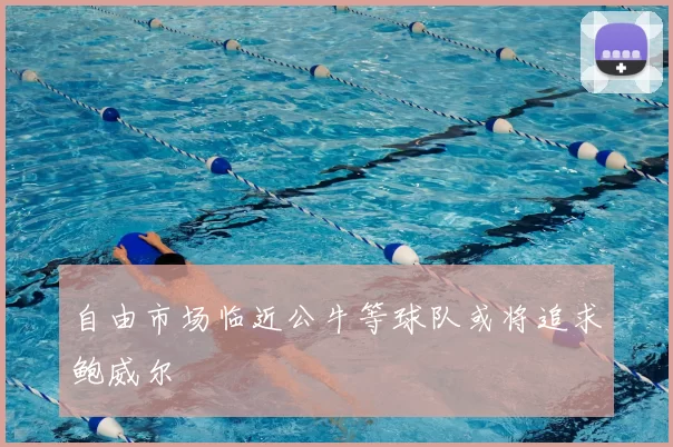 自由市场临近公牛等球队或将追求鲍威尔
