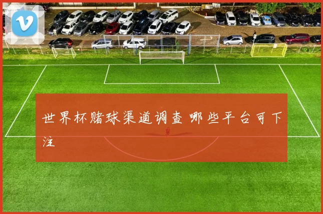 世界杯赌球渠道调查 哪些平台可下注