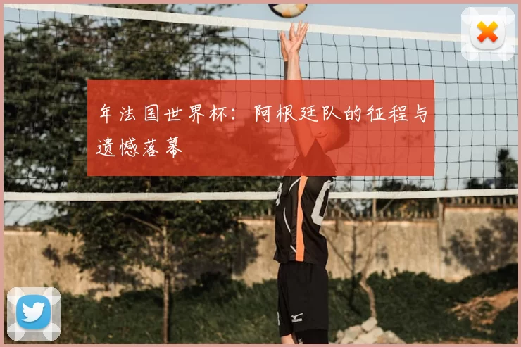 年法国世界杯：阿根廷队的征程与遗憾落幕