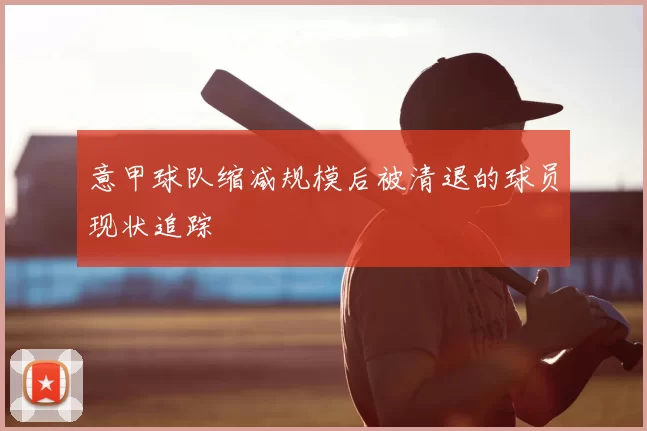 意甲球队缩减规模后被清退的球员现状追踪