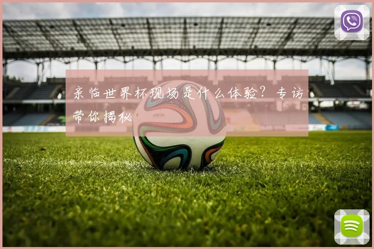 亲临世界杯现场是什么体验?专访带你揭秘