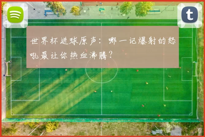 世界杯进球原声:哪一记爆射的怒吼最让你热血沸腾?