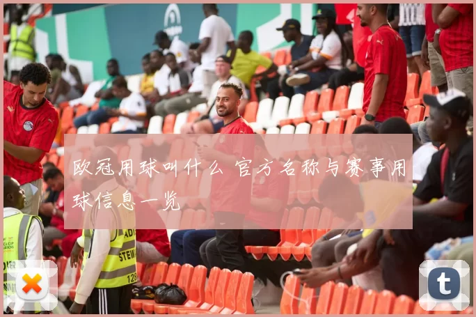 欧冠用球叫什么 官方名称与赛事用球信息一览