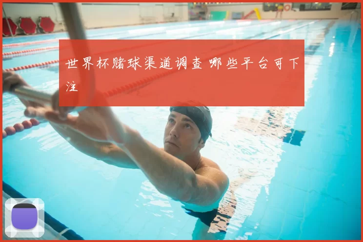 世界杯赌球渠道调查 哪些平台可下注