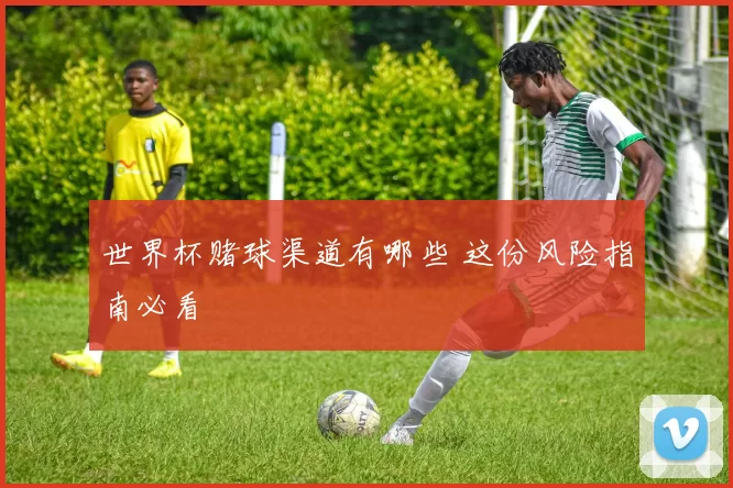 世界杯赌球渠道有哪些 这份风险指南必看
